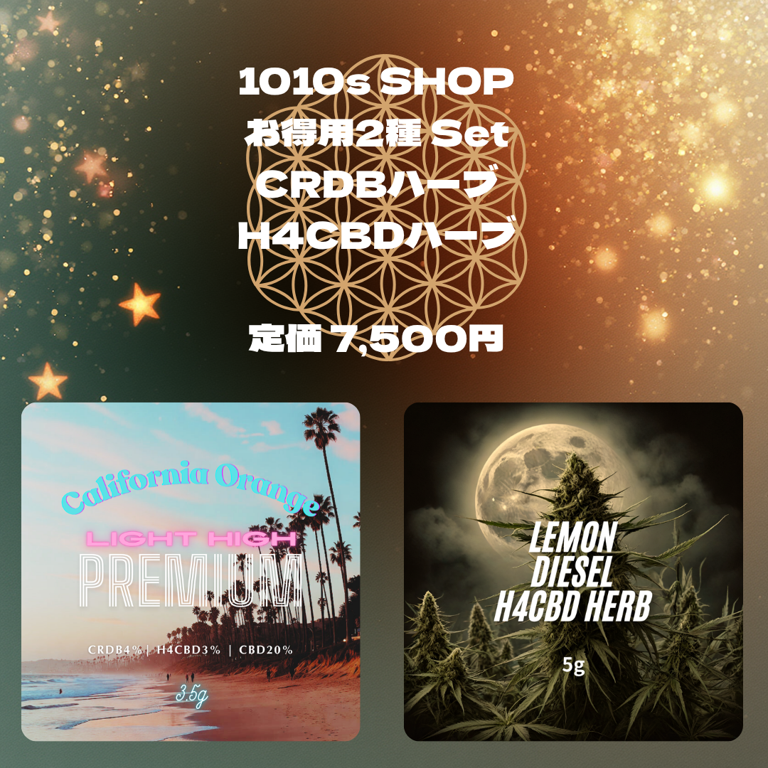 13_20251120_131159_0012