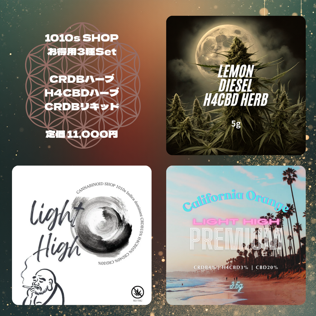 NYC DIESEL_20251120_134438_0000